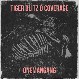 Tiger Blitz 0 Coverage (Explicit)