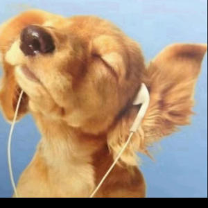 crook (feat. kxmanii) (Explicit)