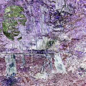 sand wich (Explicit)