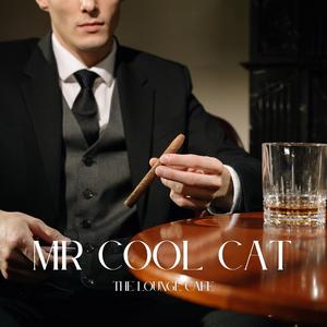 Mr Cool Cat