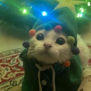 s1gmas (feat. 1keysora & SUNL1GHT) (Explicit)