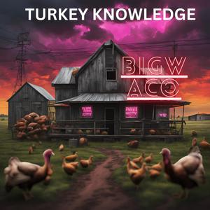 TURKEY KNOWLEDGE (Explicit)