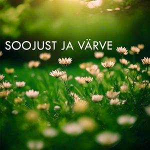 Soojust ja värve