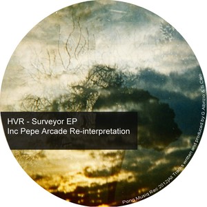 Surveyor (Pepe Arcade Re-Interpretation)