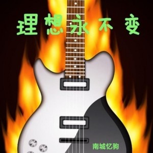 无悔这一生 (Live)封面
