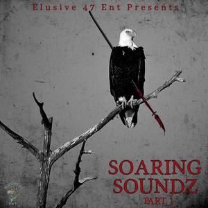 Soaring Soundz Pt. 1