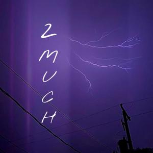 2much (feat. xxaviercartier)