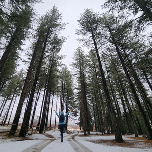 Christmas Time Is Here