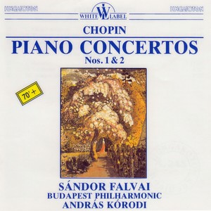 Piano Concerto No. 2 in F Minor, Op. 21 - Piano Concerto No. 2 in F Minor, Op. 21: I. Maestoso (F小调第2号钢琴与乐队协奏曲，作品21 - 第一乐章 庄严的)