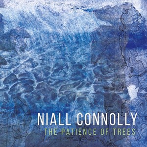 The Patience of Trees (Explicit)