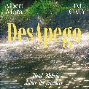 DesApego (Explicit)