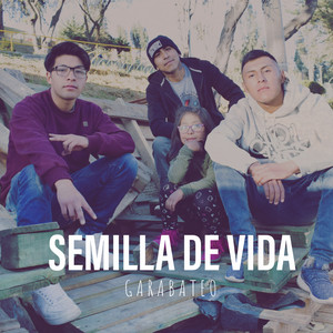 Semilla de Vida