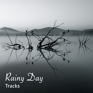 19 Rainy Day Tracks, Springtime Rain Sounds