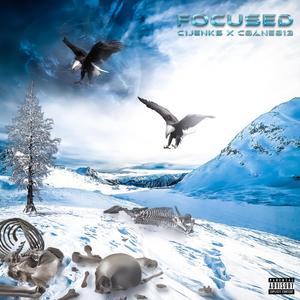 Focused (Explicit)