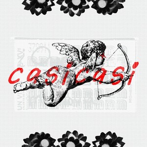 casicasi