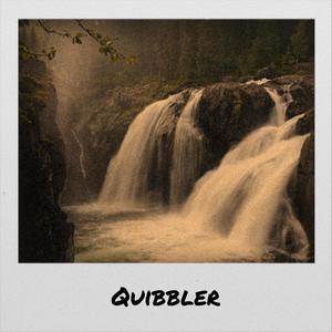 Quibbler