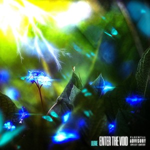 Enter the Void (Deluxe) [Explicit]