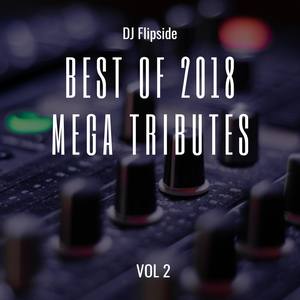 Best of 2018 Mega Tributes Vol 2