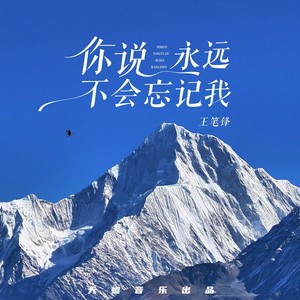 你说永远不会忘记我 (DJ彭锐版伴奏)