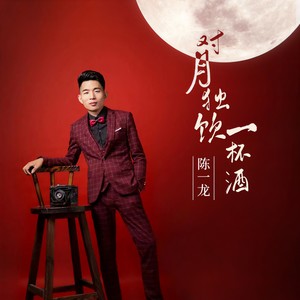 对月独饮一杯酒封面
