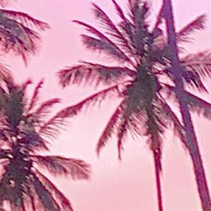 ╯︵Galle ගාල්ල