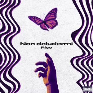 Non Deludermi (Explicit)