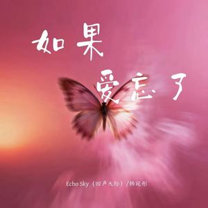 如果爱忘了 (回声天际)