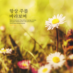 문예솔 - 주를 향한 당신의 마음 (Your mind toward the Lord)