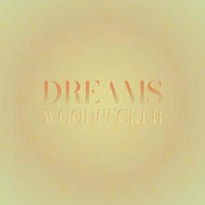 Dreams Woodpecker