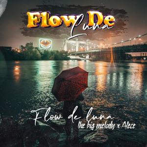 Flow de luna (feat. ATECE)