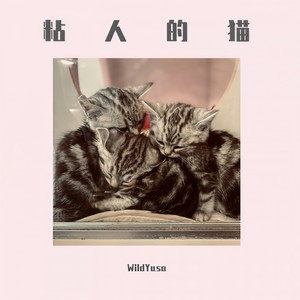 粘人的猫 (By：Yondo)