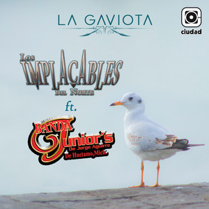 La Gaviota