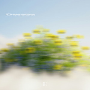 follow them the yellow flowers (extended mix)