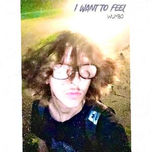 I want to feel