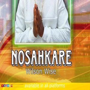 Nosahkare Wilson wise