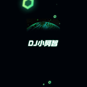 DJ小阿智 - 带我爬山顶 (Remix)