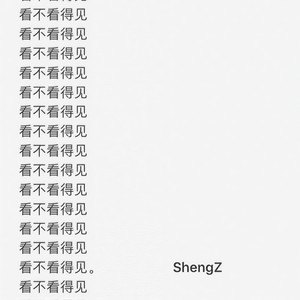 Shiloh Dynasty-看不看得见 (ShengZ remix)