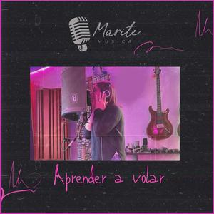 Aprender a volar (Radio Edit)