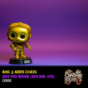 Semi Pro Widow (Original Mix)