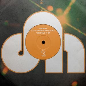 Working It (Flytz Remix)