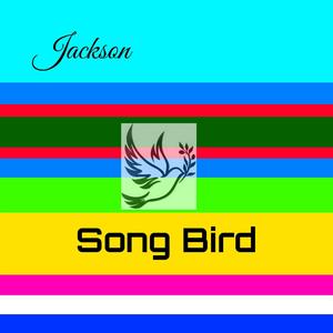 Song Bird