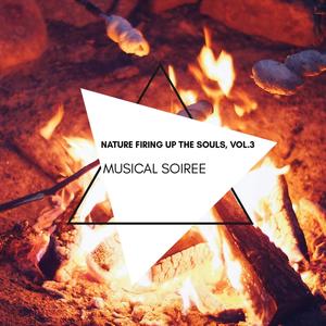 Musical Soiree - Nature Firing Up the Souls, Vol.3