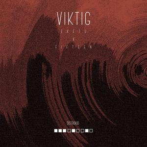 Viktig (feat. Fifteen) [Explicit]