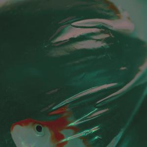 Hello, Stranger (feat. ron)