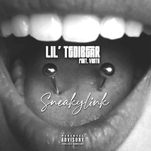 SneakyLink (feat. Vante) [Explicit]