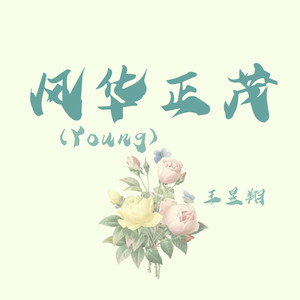风华正茂 (Young)