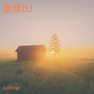 相信爱还是相信你呢-DJSKinge