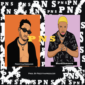 P N S (Party and Shayo) (Explicit)