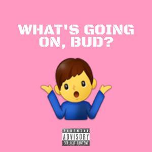 WHAT'S GOING ON, BUD? (Explicit)