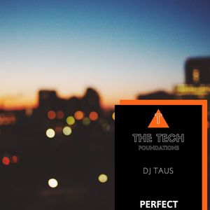 Perfect (Original Mix)